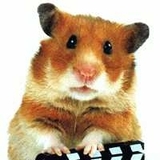 Sly_Hamster